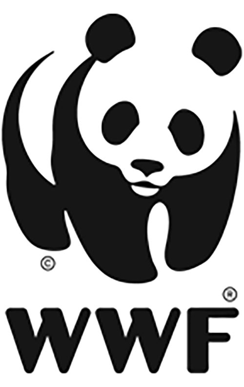 WWF World Wildlife Fund Logo